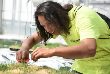 A person working in a greenhouse with plants